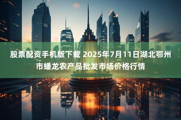 股票配资手机版下载 2025年7月11日湖北鄂州市蟠龙农产品批发市场价格行情
