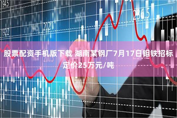 股票配资手机版下载 湖南某钢厂7月17日钼铁招标定价25万元/吨